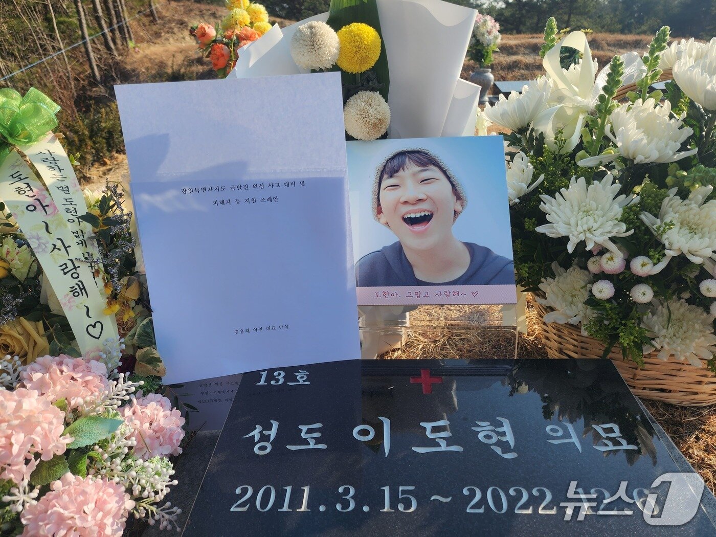 본문 이미지 - 고 이도현 군 묘소.&#40;강원도의회 제공, 재판매 및 DB 금지&#41;/뉴스1