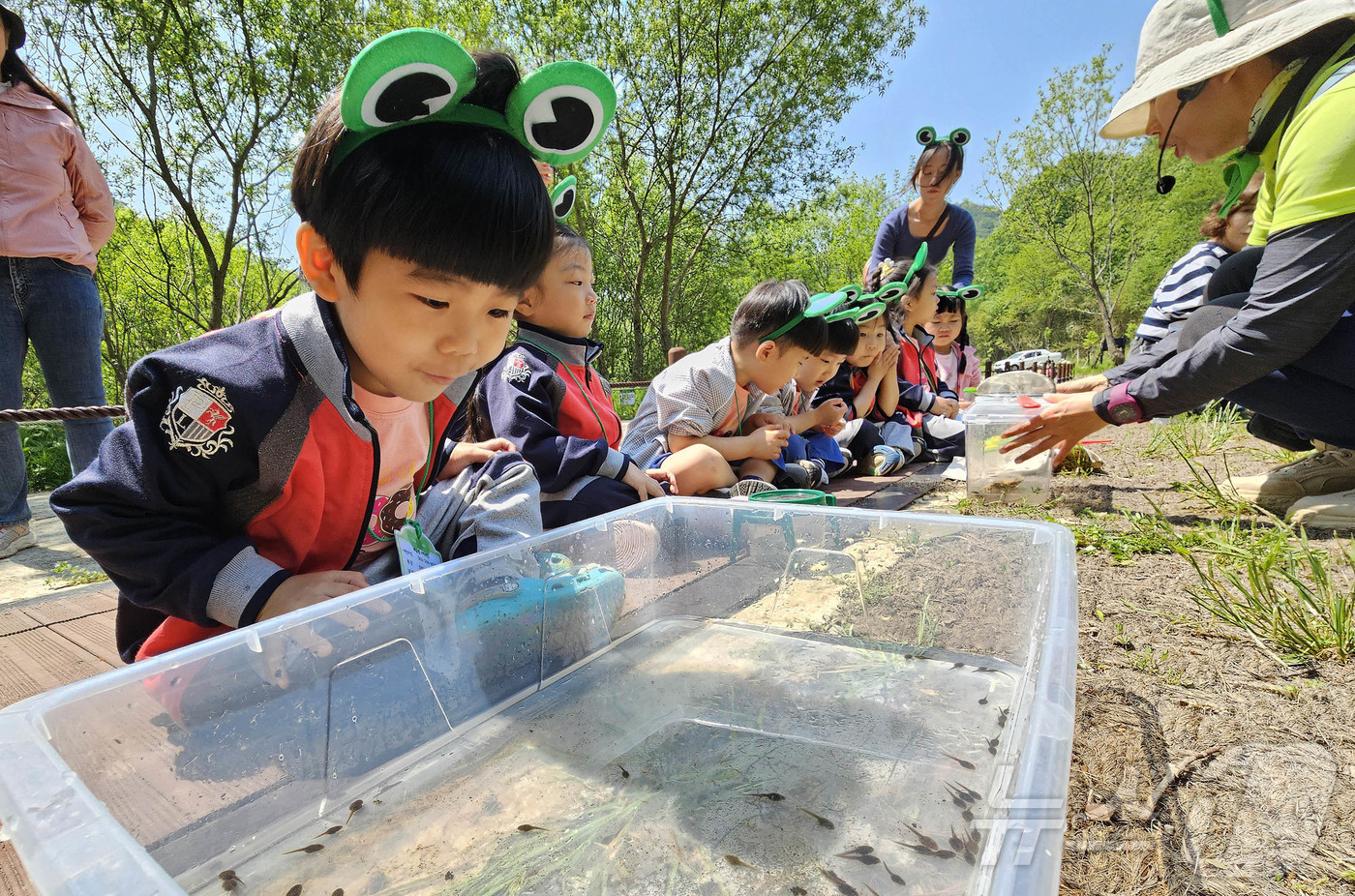 (광주=뉴스1) 박지현 기자 = 12일 광주 북구 화암동 평두메습지에서 열린 ‘람사르습지 탐험대’ 프로그램에 참가한 해달별 어린이집 아이들이 습지에 서식하는 올챙이와 곤충들을 관찰 …
