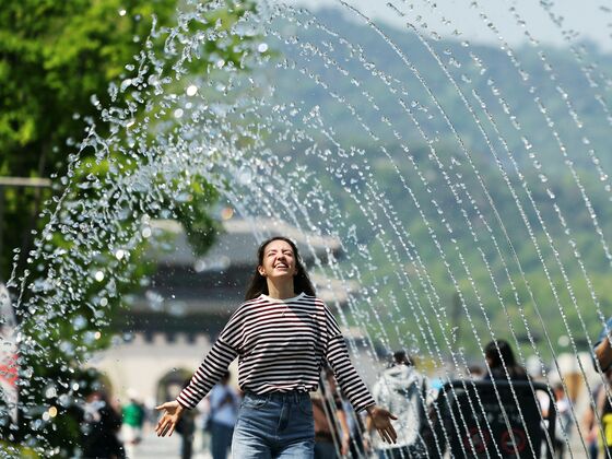 [뉴스1 PICK]'여름이 성큼' 한낮 최고 26도… 큰 일교차 주의