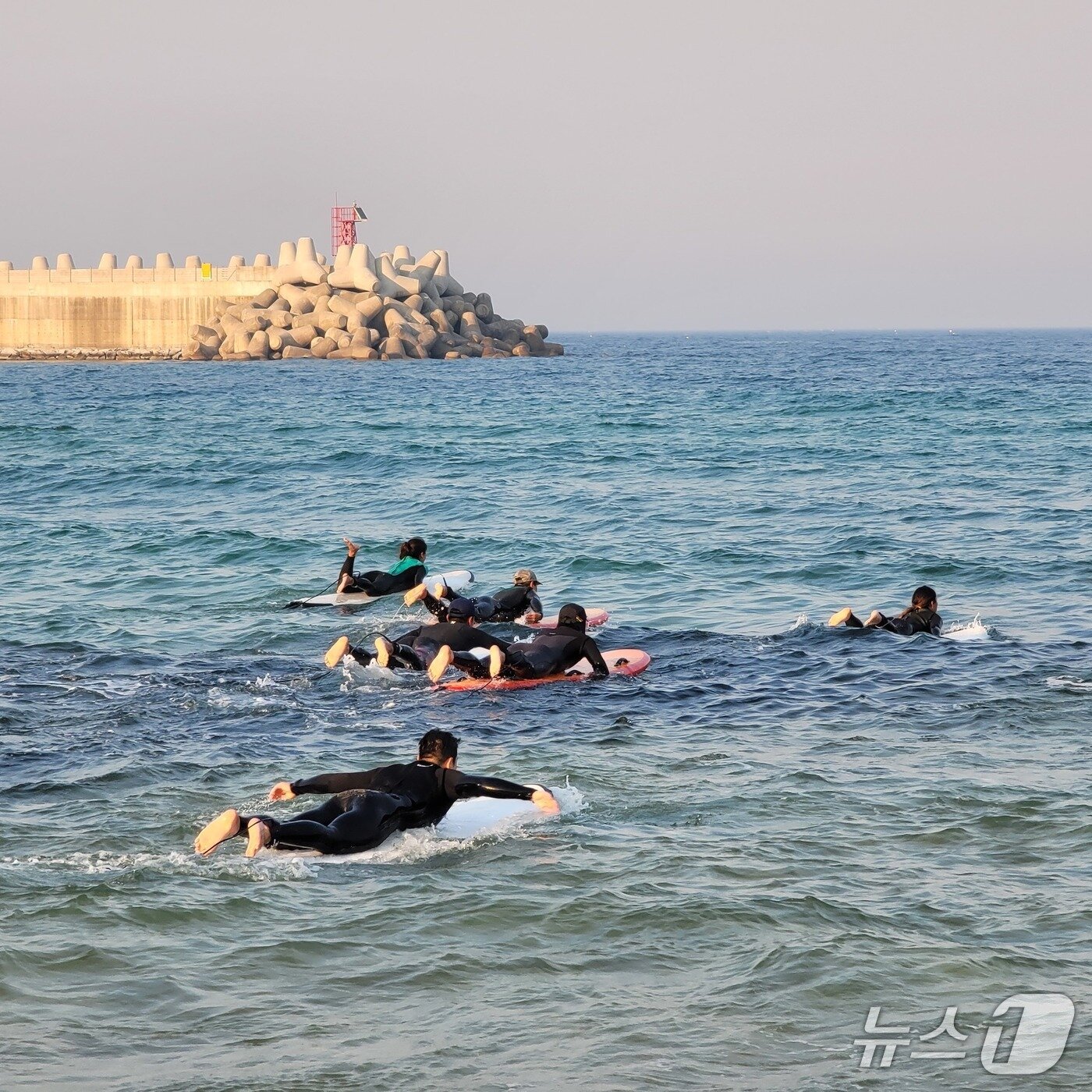 본문 이미지 - 서핑교육.&#40;양양군 제공, 재판매 및 DB 금지&#41;2025.5.12/뉴스1