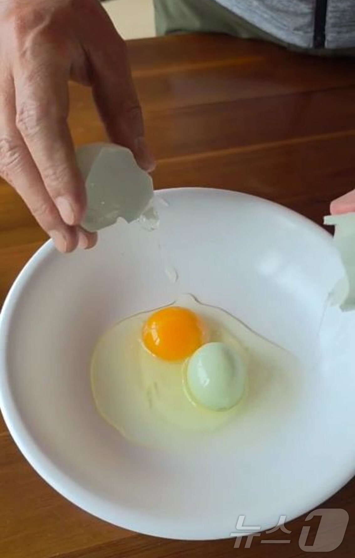 본문 이미지 - 충북 괴산군의 한 농가에서 키우던 닭이 낳은 달걀 속에서 또 하나의 달걀이 나와 화제다.(조광현 씨 제공. 재판매 및 DB 금지)/뉴스1 ⓒ News1