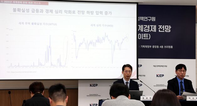 대외경제정책연구원, 2025년 상반기 세계경제전망 발표