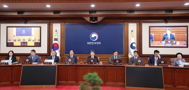 국무회의 주재하는 이주호 대통령 권한대행