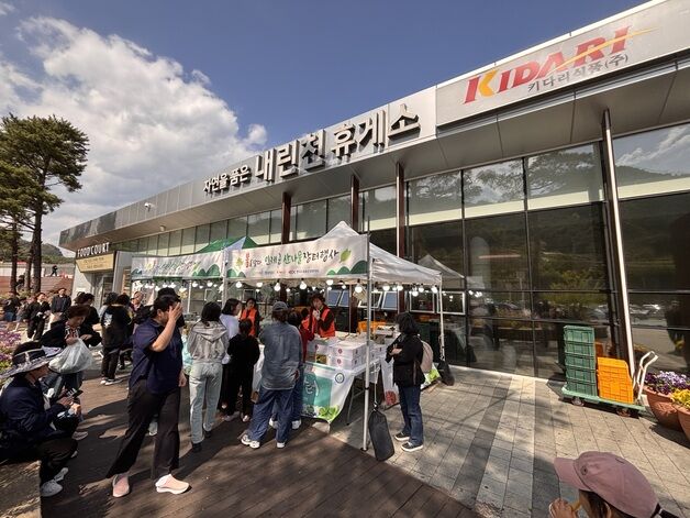 인제 산나물 '봄철 마케팅' 성황