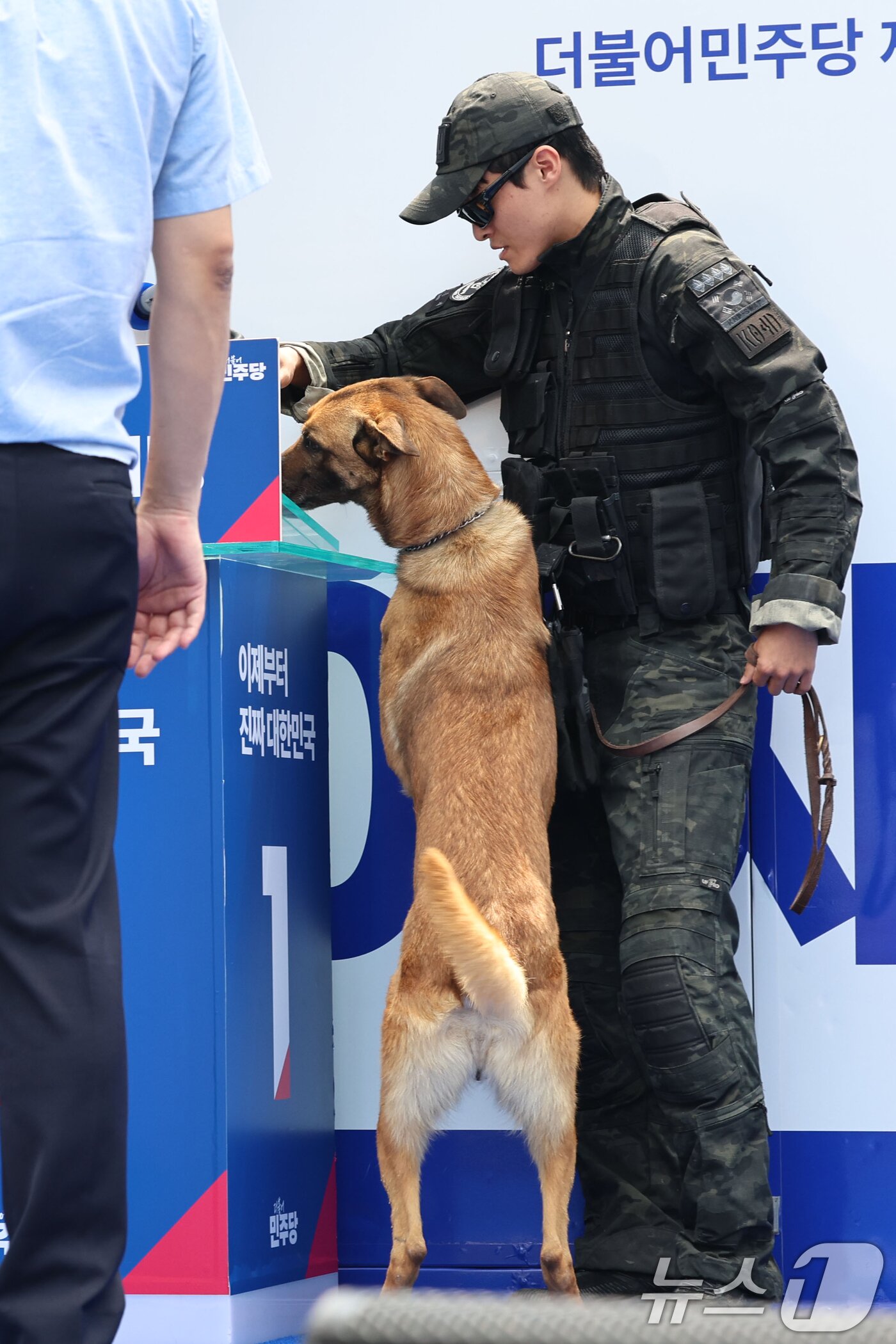 본문 이미지 - 13일 대구 중구 동성로 광장에서 이재명 더불어민주당 대통령 후보의 집중유세 시작 전 경찰 특공대와 폭발물 탐지견이 수색을 하고 있다. (공동취재) 2025.5.13/뉴스1 ⓒ News1 안은나 기자