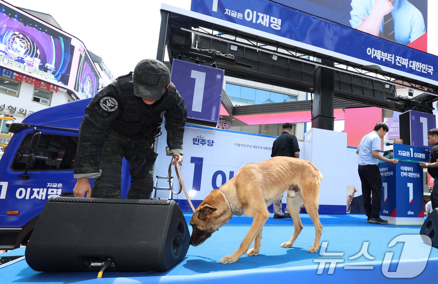 (대구=뉴스1) 안은나 기자 = 13일 대구 중구 동성로 광장에서 이재명 더불어민주당 대통령 후보의 집중유세 시작 전 경찰 특공대와 폭발물 탐지견이 수색을 하고 있다. (공동취재) …