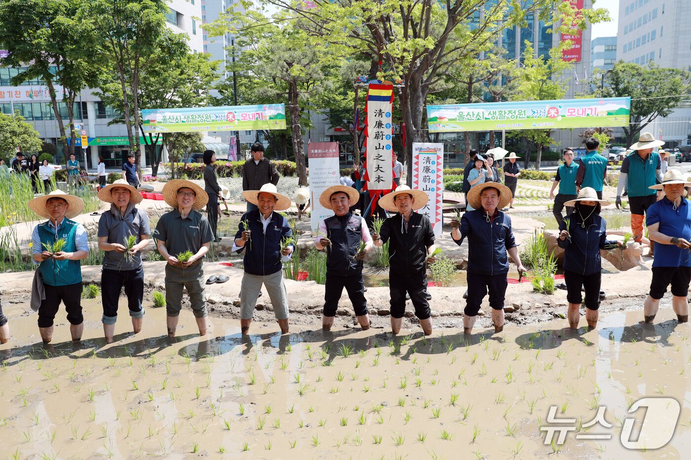 본문 이미지 - 김두겸 울산시장과 이성룡 울산시의장, 시청 공무원 등이 13일 울산시청 내 생활정원에서 모심기를 진행하고 있다.&#40;울산시청제공. 재판매 및 DB 금지&#41;