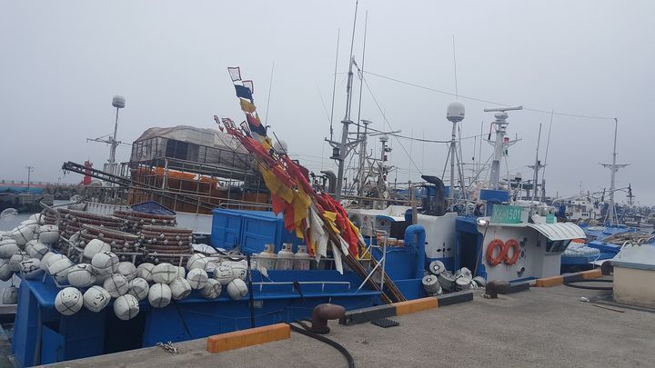 (제주=뉴스1) 강승남 기자 = 13일 오후 제주 서귀포 남서쪽 약 563㎞ 해상에서 29톤급 모슬포 선적 887어진호(승선원 8명)가 침몰해 해경이 인명구조에 나섰다. 사진은 포 …