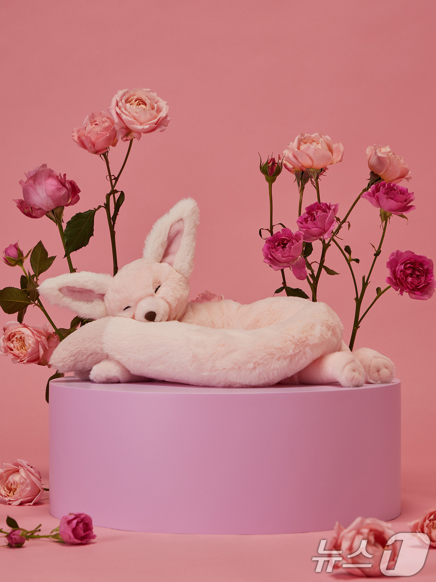 (서울=뉴스1) = 에버랜드가 오는 16일 '에버랜드 로로티' 장미축제 개막과 함께 삼성물산 패션부문의 온라인 쇼핑 플랫폼 SSF샵에서 '에버랜드 로로티' 장미축제 특별 기획전을 …