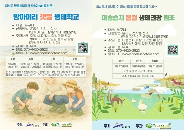 안산시, 대부도 '갯벌생태·철새탐조' 프로그램 운영…참가비 무료