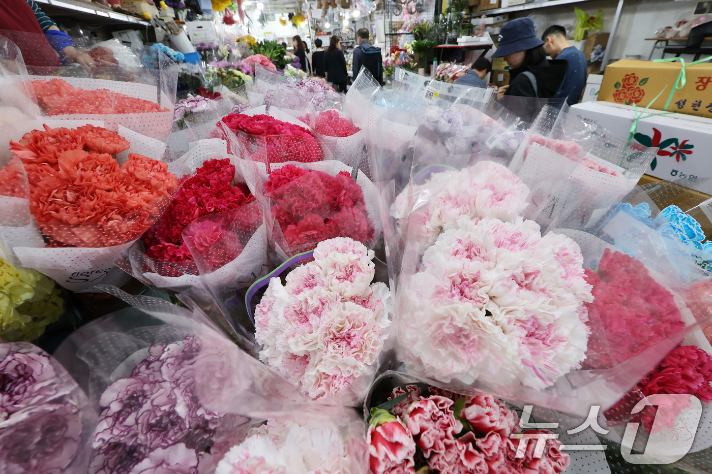 (서울=뉴스1) 이동해 기자 = 스승의 날을 하루 앞둔 14일 서울 중구 남대문시장 꽃상가에 형형색색 카네이션이 진열돼 있다. 2025.5.14/뉴스1