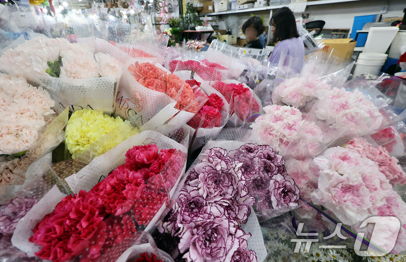 (서울=뉴스1) 이동해 기자 = 스승의 날을 하루 앞둔 14일 서울 중구 남대문시장 꽃상가에 형형색색 카네이션이 진열돼 있다. 2025.5.14/뉴스1