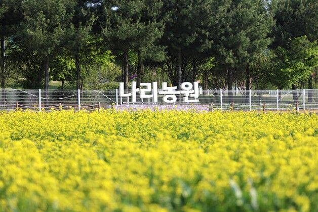 '형형색색 봄꽃 만발' 양주 나리농원, 24일~내달 1일 '무료 개장'
