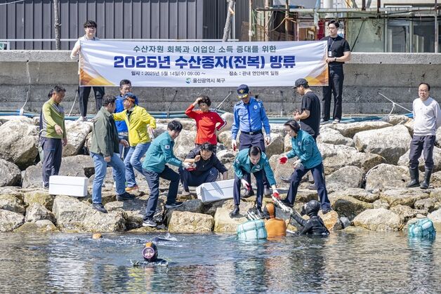 울산 북구, 8개 마을어장에 전복종자 19만마리 방류