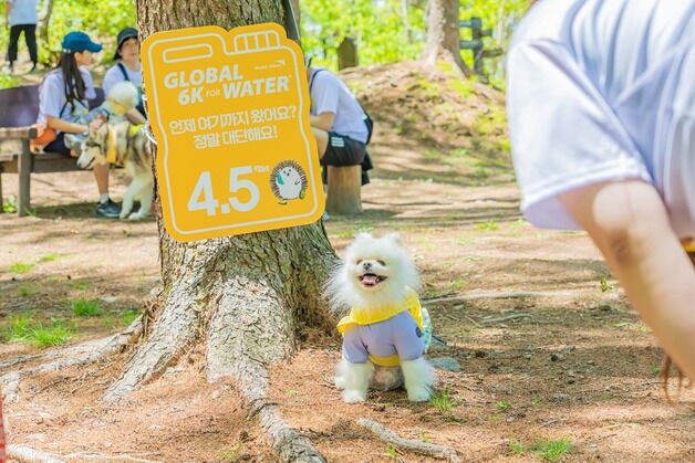 '반려인 1만명 정선으로…' 하이원리조트 '2025 댕댕트레킹' 개최