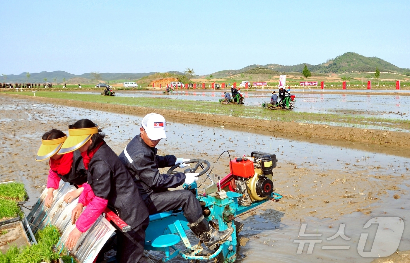 (평양 노동신문=뉴스1) = 북한 노동당 기관지 노동신문은 15일 "올해 알곡고지를 무조건 점령할 비상한 각오를 안고 모내기에 떨쳐나선 각지 농업근로자들의 헌신적인 투쟁에 의해 전 …