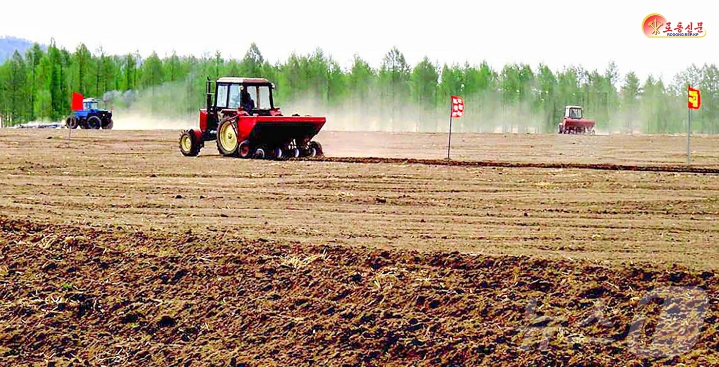 (평양 노동신문=뉴스1) = 북한 노동당 기관지 노동신문은 15일 "당 창건 80주년이 되는 올해 백두대지에서 감자산를 더 높이 쌓아가려는 도안의 농업부문 간부들과 농업근로자들의 …