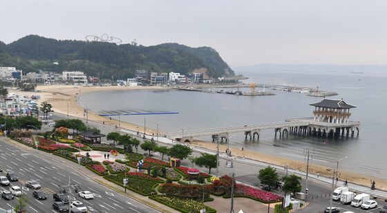 장미와 바다