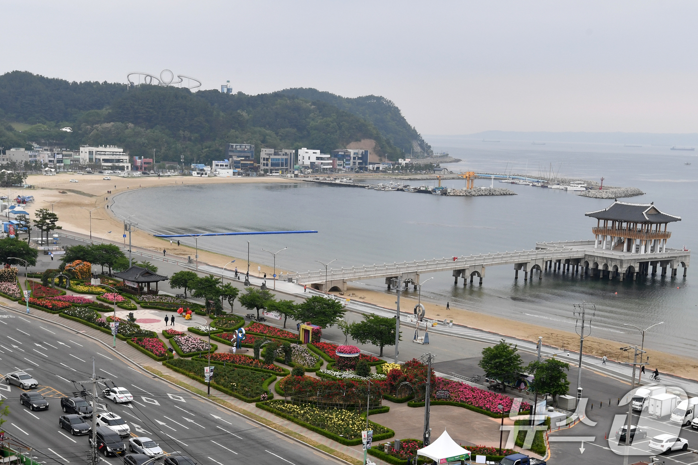 (포항=뉴스1) 최창호 기자 = 15일 경북 포항시 북구 영일대해수욕장 장미원에서 시민들이 산책하고 있다. 2025.5.15/뉴스1