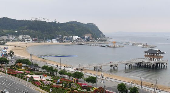 장미향기 가득한 아침