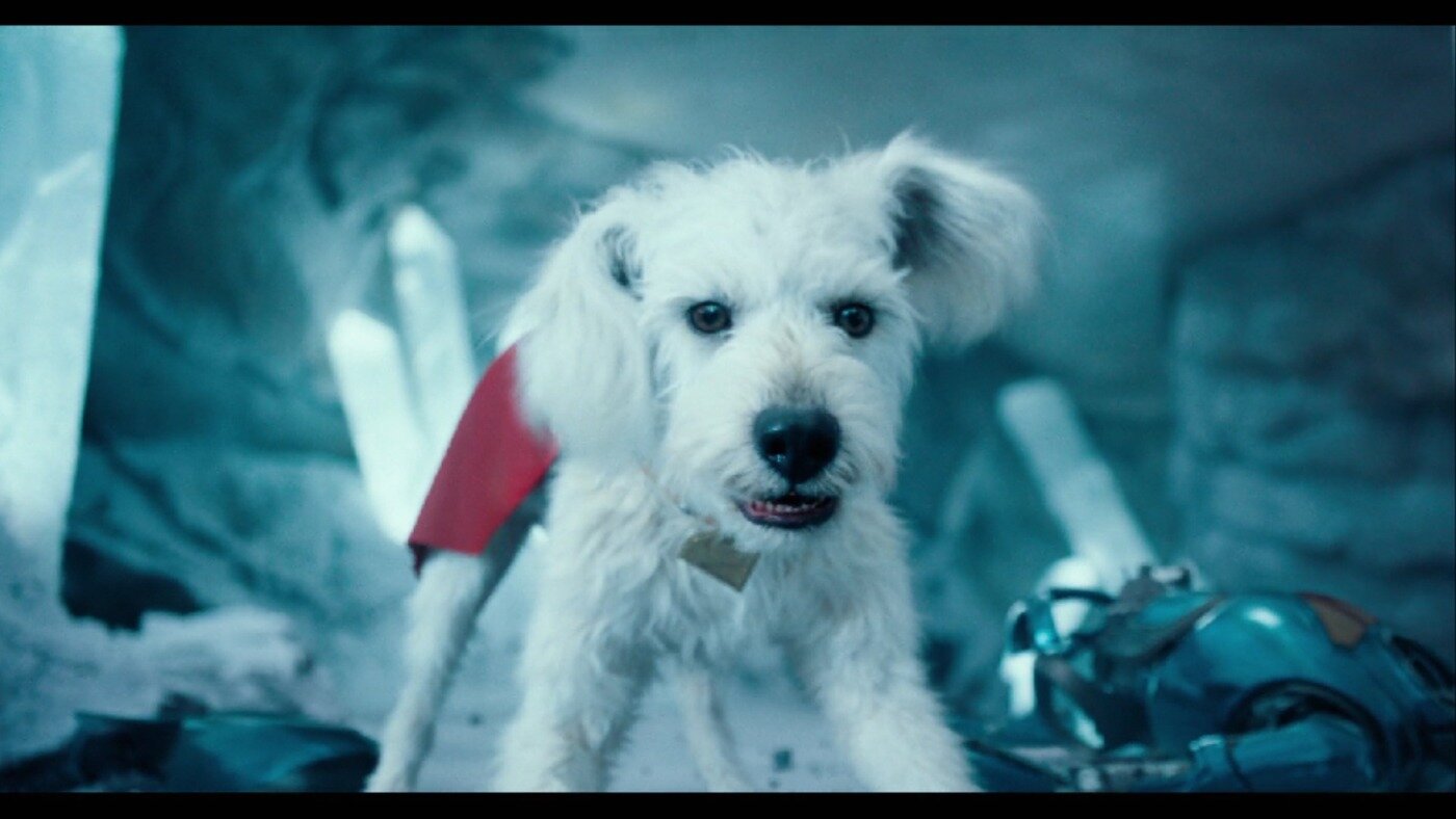 본문 이미지 - '슈퍼맨' 스틸 컷