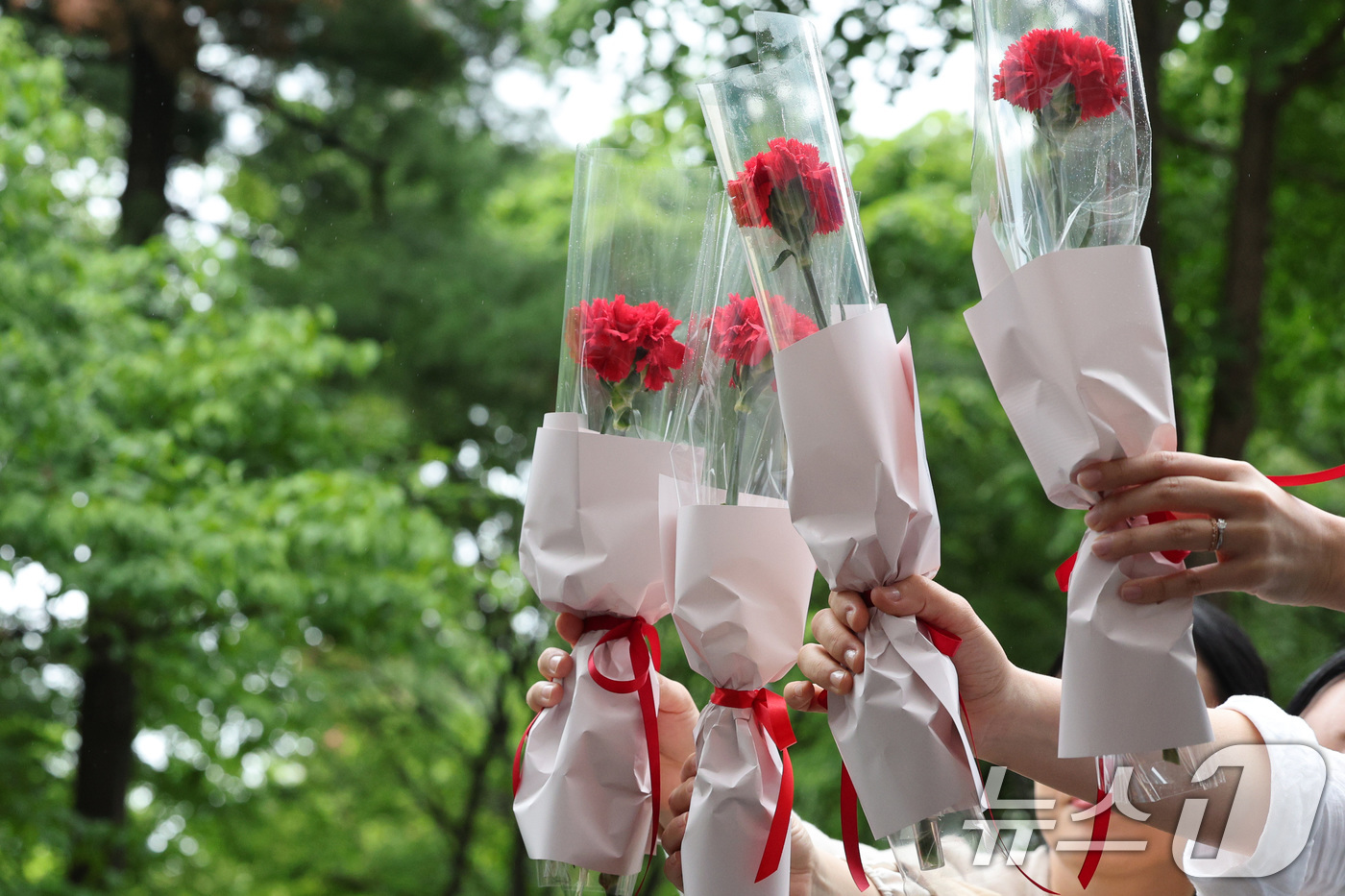 (서울=뉴스1) 신웅수 기자 = 스승의 날인 15일 오전 서울 노원구 동일초등학교에서 선생님들이 학생들에게 받은 꽃을 들고 기념 촬영을 하고 있다. 2025.5.15/뉴스1