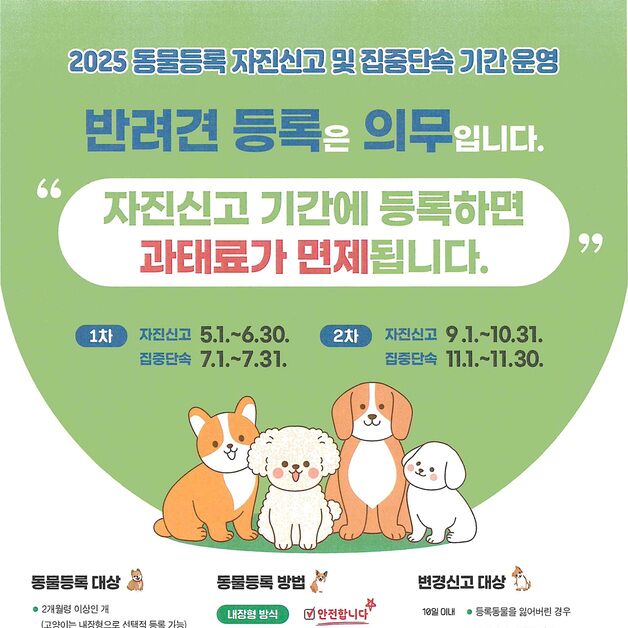 부산 해운대구, 동물등록 자진신고 기간 운영…7월 집중 단속