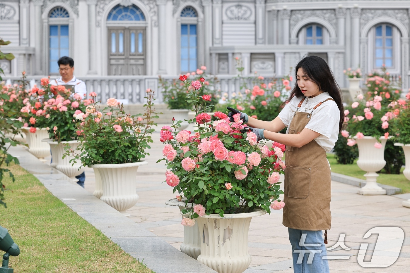 (서울=뉴스1) = 오는 16일부터 펼쳐지는 '에버랜드 로로티' 장미축제를 하루 앞두고 관계자들이 로즈가든에서 현장을 둘러보고 있다.40주년을 맞은 '에버랜드 로로티' 장미축제에서 …