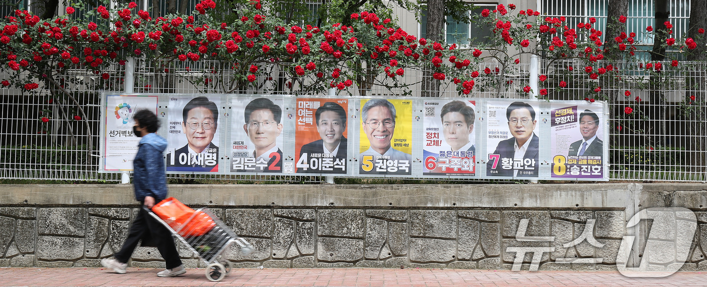 (대구=뉴스1) 공정식 기자 = 15일 오후 대구 중구 남산동의 한 아파트 울타리에 곱게 핀 장미꽃 아래 제21대 대통령 선거 후보자들의 벽보가 붙어있다. 2025.5.15/뉴스1 …