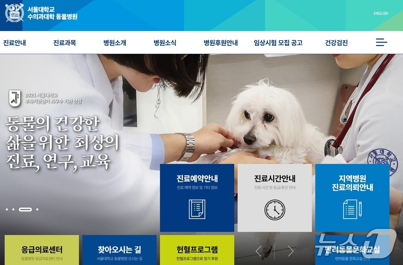 본문 이미지 - 서울대학교 동물병원 홈페이지 갈무리. 건강검진 코너가 따로 마련돼 있다. 동물명원 오시는 길은 동물병원의 오기다. ⓒ 뉴스1