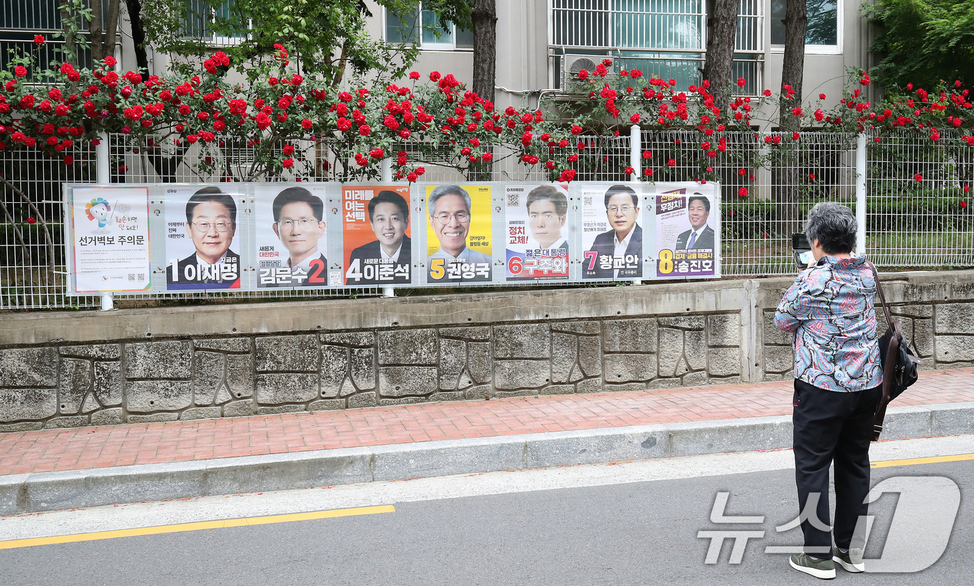(대구=뉴스1) 공정식 기자 = 15일 오후 대구 중구 남산동 한 아파트 울타리에 곱게 핀 장미꽃 아래 제21대 대통령 선거에 출마한 후보자들의 선거 벽보가 붙어 있다. 한 시민이 …