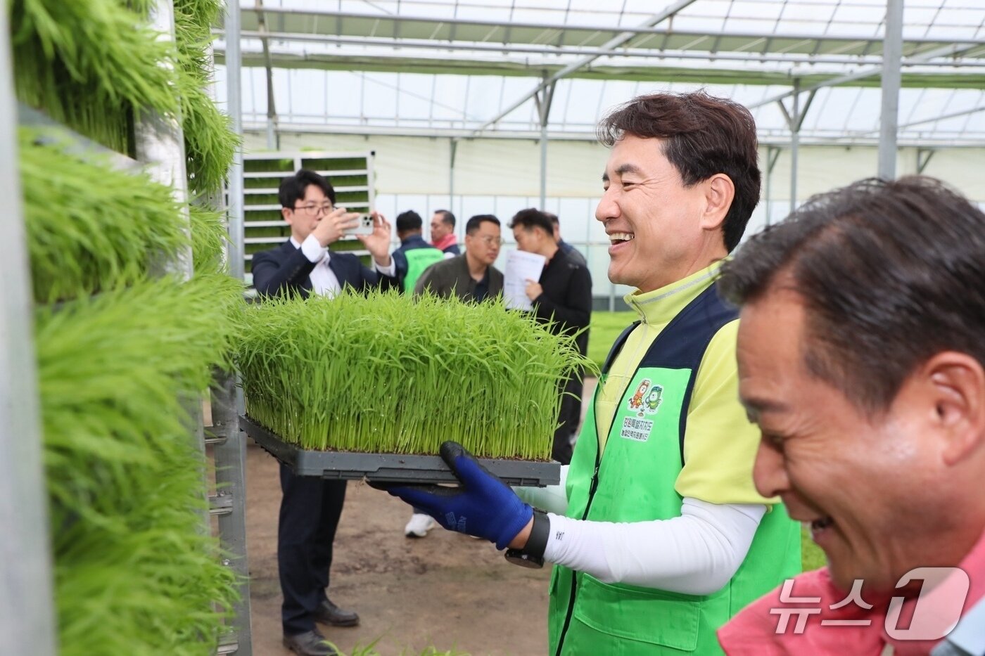 본문 이미지 - 모내기 일일농부 변신한 김진태 강원도지사.&#40;강원도 제공. 재판매 및 DB금지&#41;/뉴스1