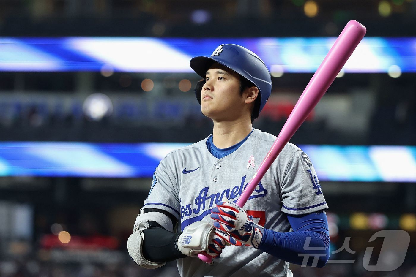 본문 이미지 - 미국 메이저리그 LA다저스의 오타니 ⓒ AFP=뉴스1