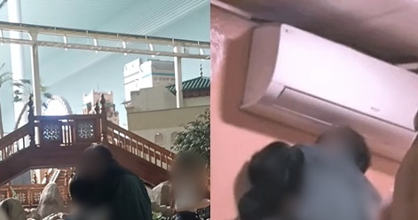 놀이공원서 목 감싸며 진한 스킨십…"러브버그가 따로 없네"