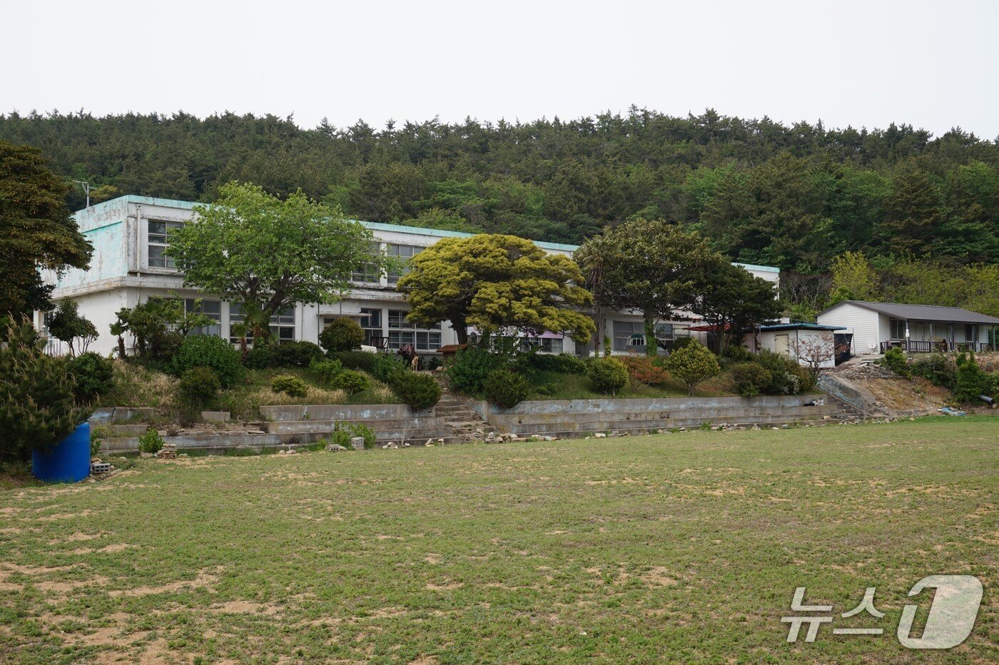 본문 이미지 - 상조도초등학교. 지금은 폐교 상태로 운동장이 쑥밭으로 변했다. 2025.5.16/뉴스1 ⓒ News1 조영석 기자