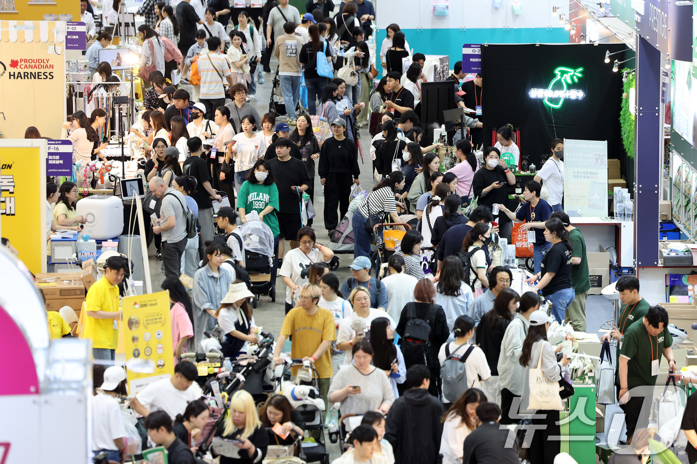 (고양=뉴스1) 이동해 기자 = 16일 경기도 고양시 일산 킨텍스에서 열린 2025 메가주 일산을 찾은 견주와 반려견이 용품을 살펴보고 있다.국내 최대 규모의 펫페어 메가주(Meg …