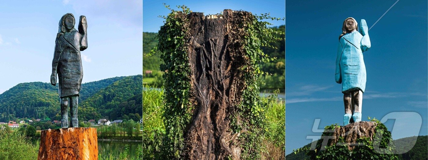 본문 이미지 - 멜라니아 트럼프 동상의 변천사. 가장 왼쪽이 사라지기전의 청동상이고 가운데는 나무 멜라니아상이 사라지고 남은 나무 둥치, 가장 오른쪽이 멜라니아 목재상이다. 각각 2020년 9월15일, 2020년 7월7일, 2019년 7월5일 찍은 사진이다. ⓒ AFP=뉴스1