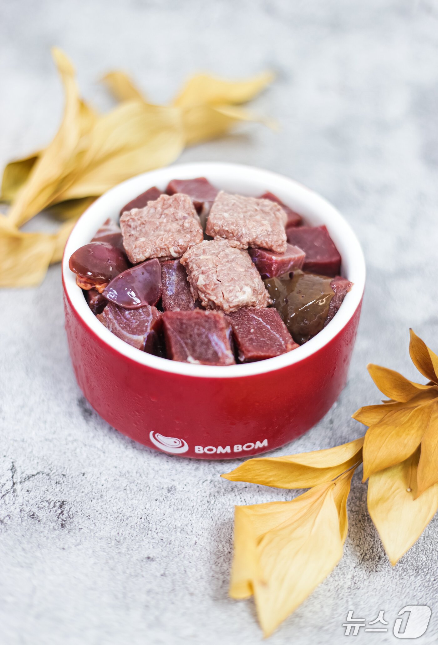 본문 이미지 - 자연식 펫푸드(업체 제공) ⓒ 뉴스1