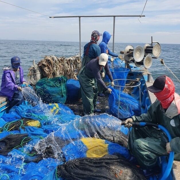 군산시, 수산분야 외국인 계절근로자 확대…"일손 부족 해소"