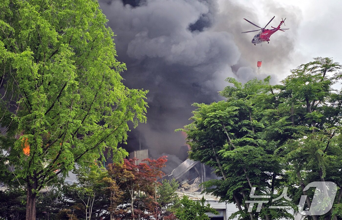 본문 이미지 - 17일 오전 7시 11분쯤 광주 광산구 소촌동 금호타이어 광장공장에서 불이 나 소방당국이 헬기를 동원해 진화 작업을 하고 있다. 사진은 내부 건물 일부가 무너져 내리는 모습. 2025.5.17/뉴스1 ⓒ News1 최성국 기자