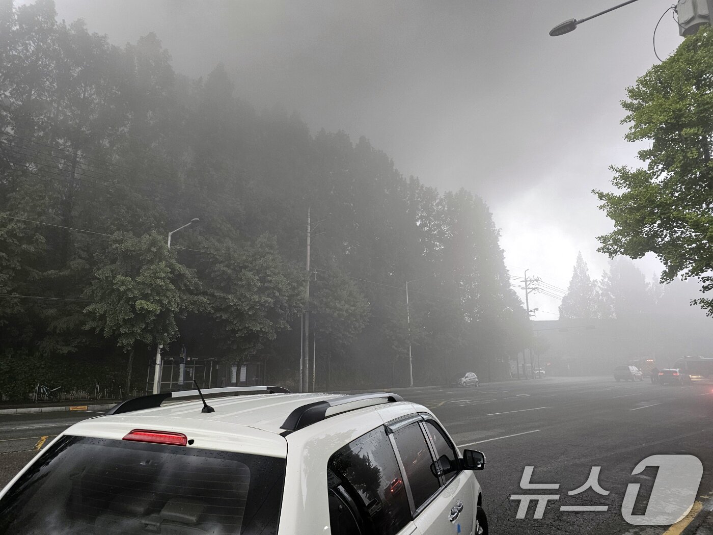 본문 이미지 - 17일 오전 광주 광산구 소촌동 금호타이어 광장공장에서 화재가 발생해 일대에 검은 연기가 뒤덮고 있다. 2025.5.17/뉴스1 ⓒ News1 최성국 기자