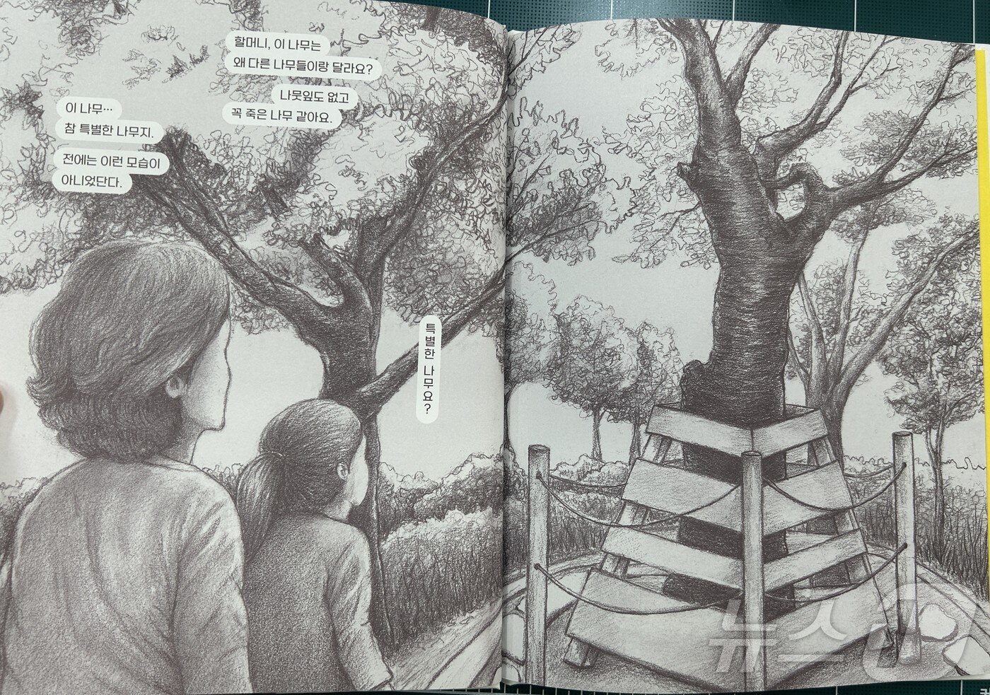 본문 이미지 - 광주실천교육교사모임이 출간한 5·18 그림책 ‘오월의 회화나무’