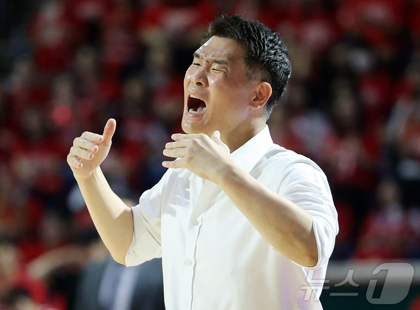 (서울=뉴스1) 김진환 기자 = 17일 오후 서울 송파구 잠실학생체육관에서 열린 '2024-25 KCC 프로농구 챔피언결정전 7차전' 서울 SK 나이츠와 창원 LG 세이커스의 경기 …