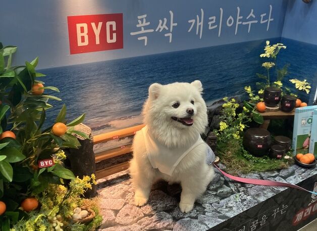 반려견도 '폭싹 개리야수다'…BYC 펫페어 부스에 관람객 '북적'
