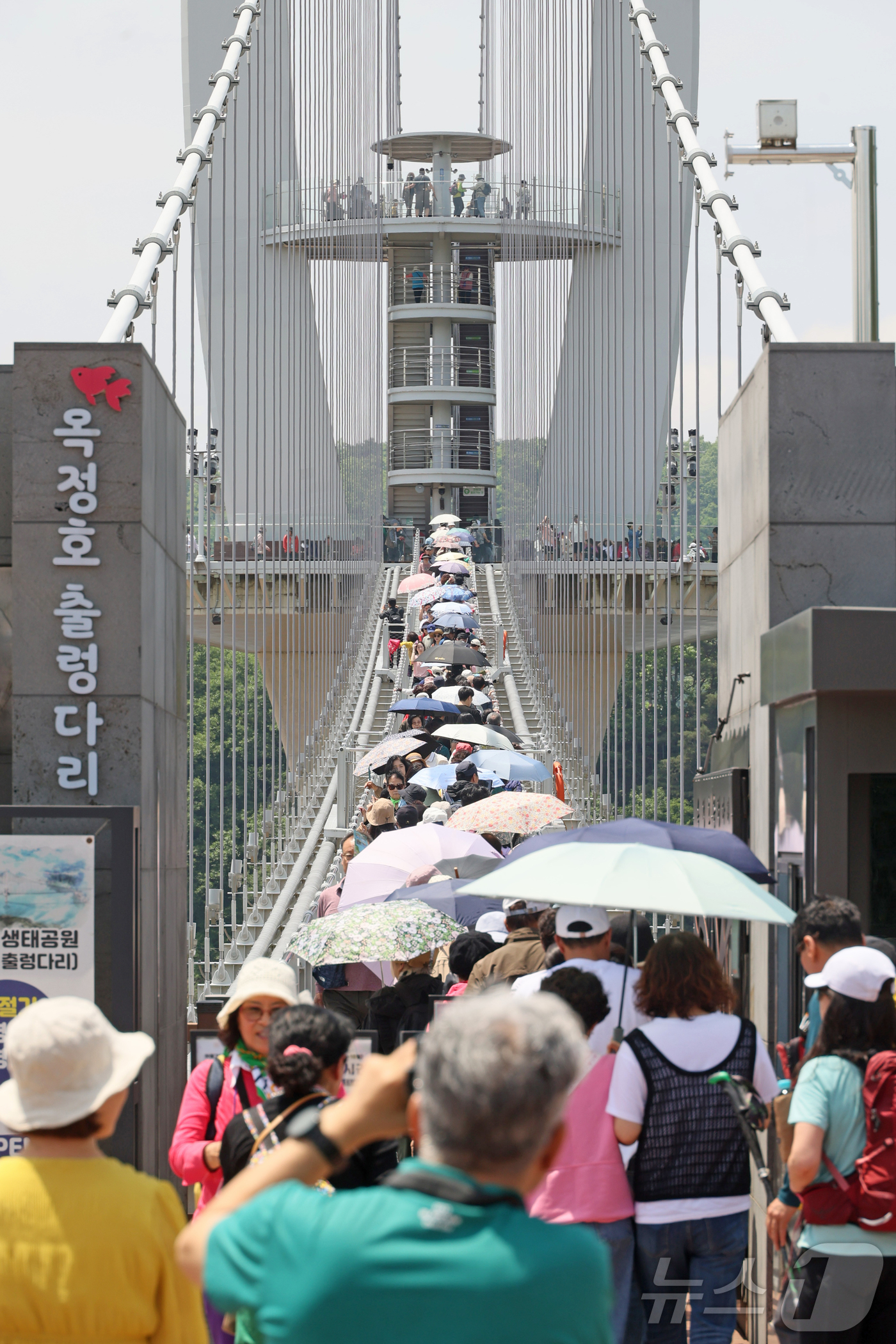 (임실=뉴스1) 김동규 기자 = 17일 전북 임실군 운암면 옥정호 붕어섬에 화려한 작약꽃이 만발해 방문객들이 출렁다리를 건너 붕어섬으로 향하고 있다. (임실군 제공, 재판매 및 D …
