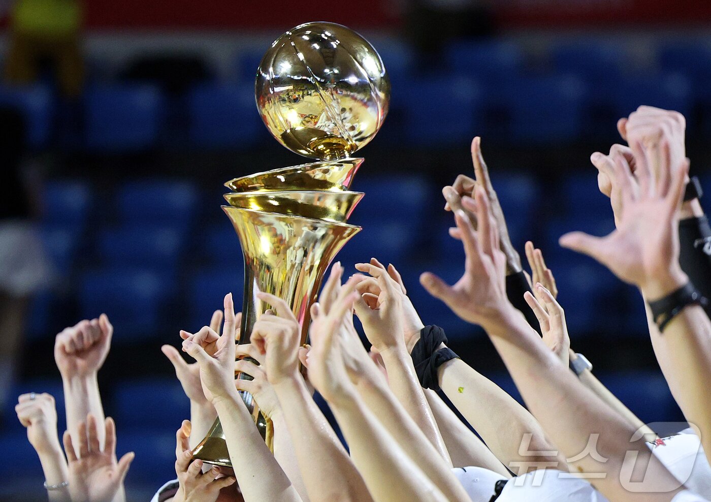 본문 이미지 - 17일 오후 서울 송파구 잠실학생체육관에서 열린 '2024-25 KCC 프로농구 챔피언결정전 7차전' 서울 SK 나이츠와 창원 LG 세이커스의 경기, 62대58로 승리하며 창단 28년 만에 첫 우승을 달성한 창원 LG 선수들이 우승 트로피를 들며 기쁨을 나누고 있다. 2025.5.17/뉴스1 ⓒ News1 김진환 기자