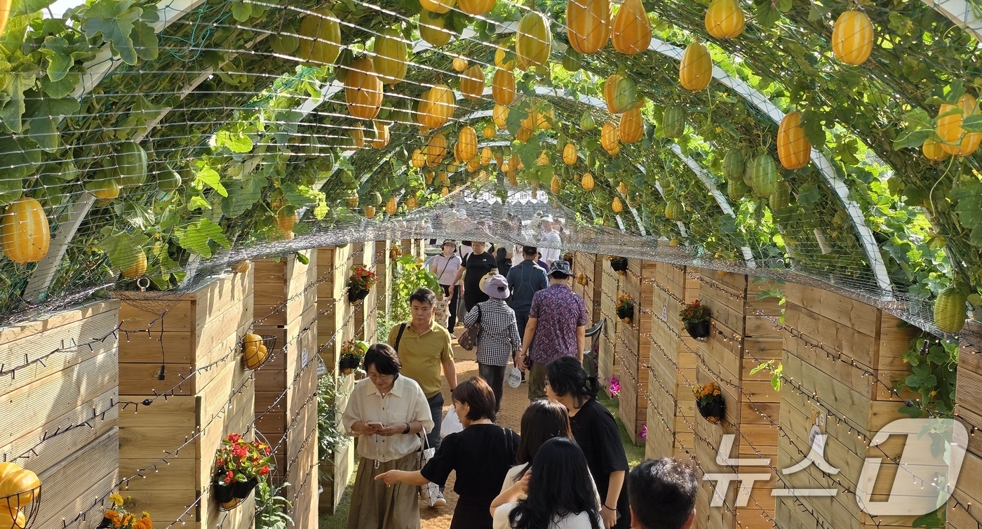 (성주=뉴스1) 정우용 기자 = 주말인 17일 경북 성주 성밖숲 일원에서 열리고 있는 '성주 참외·생명 문화축제'에 참여한 시민들이 참외터널을 구경하고 있다.축제는 오는 18일까지 …
