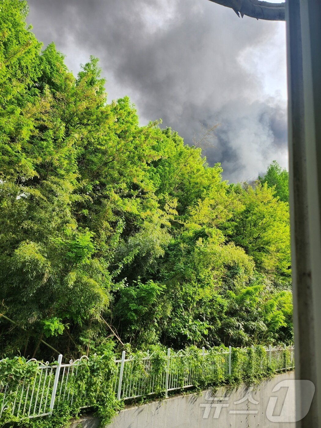 본문 이미지 - 금호타이어 광주공장 화재가 발생한 17일 인근 소촌동 아파트에서 검은 연기가 자욱한 모습. &#40;독자제공. 재판매 및 DB 금지&#41; ⓒ News1 이승현 기자