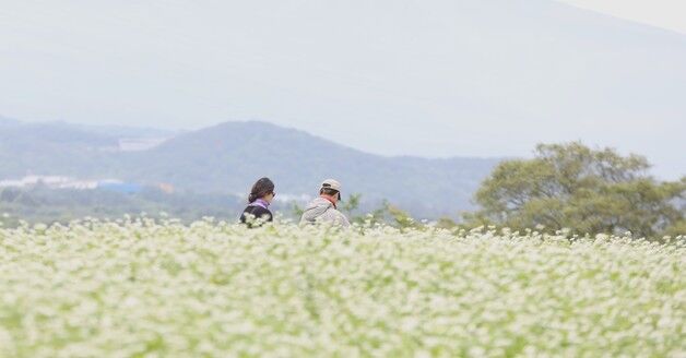 [오늘의 날씨] 제주(22일, 목)…낮 최고기온 24도