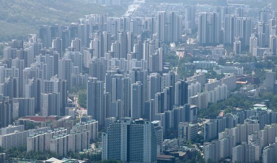 2027년부터 PF 보고 의무화…정부, 개발사업 전반 직접 관리